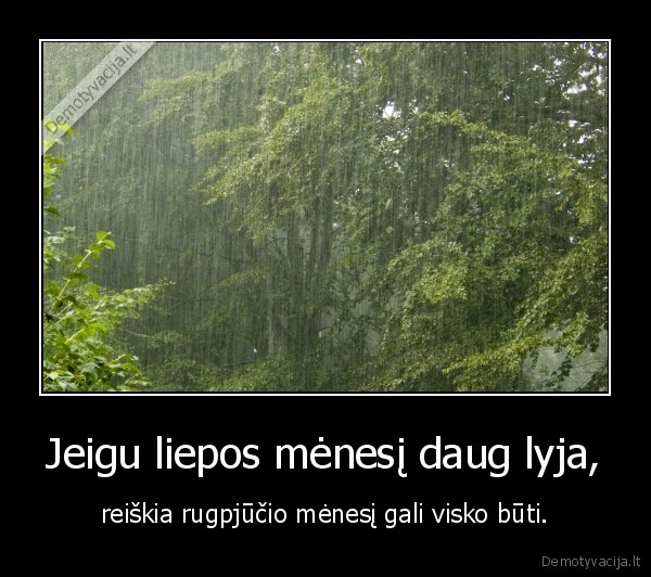 liepa,rugpjutis,vasara,lietus