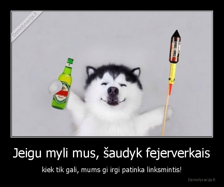 fejerverkai,gyvunai,patinka,ne,sventes