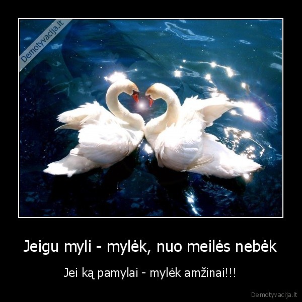 Jeigu myli - mylėk, nuo meilės nebėk