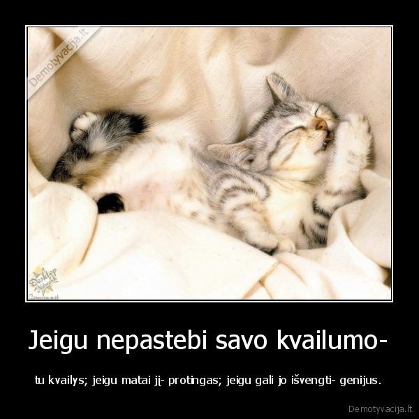 Jeigu nepastebi savo kvailumo-