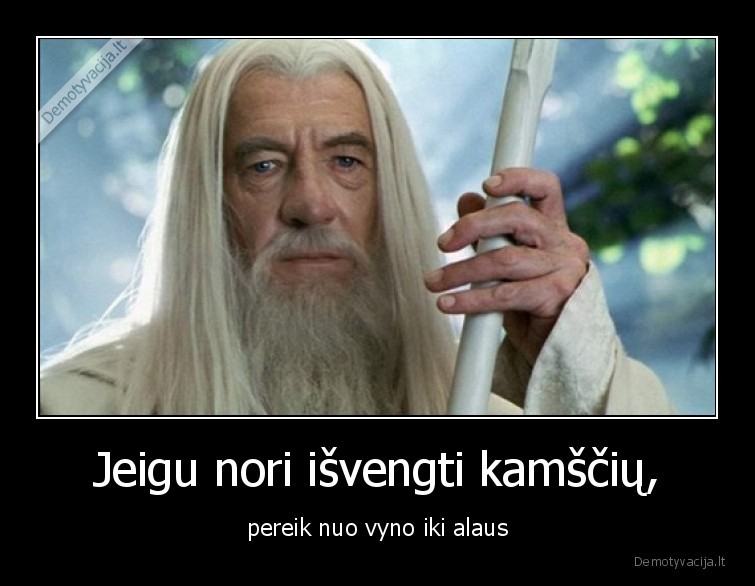 kamsciai,alus,vynas
