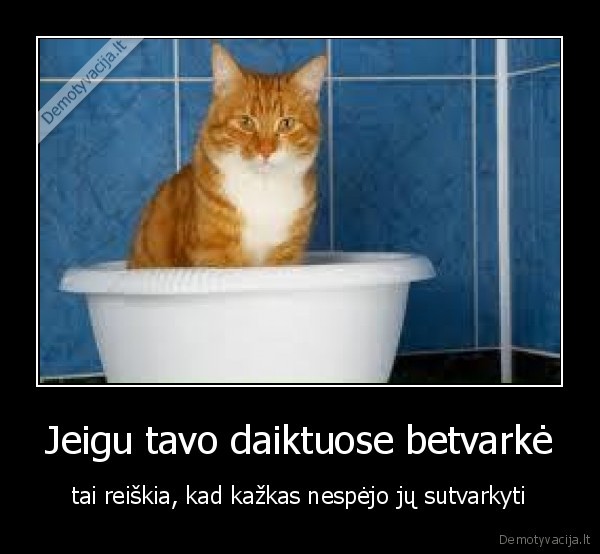betvarke