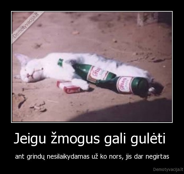 alkoholis