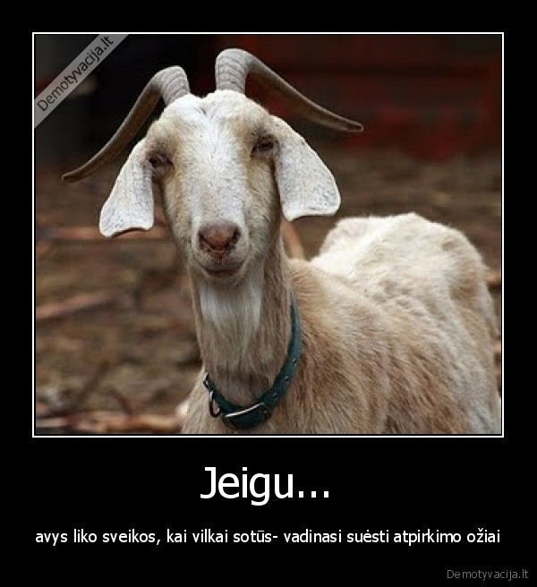 Jeigu...