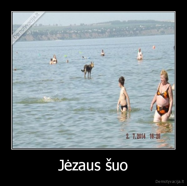 vaiksto, ant, vandens,juokingas, suo,magiskas, suo