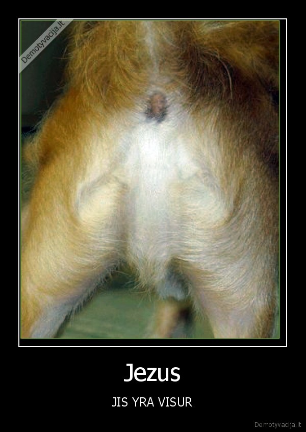 Jezus