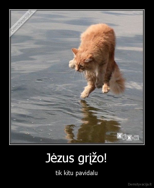 jezus