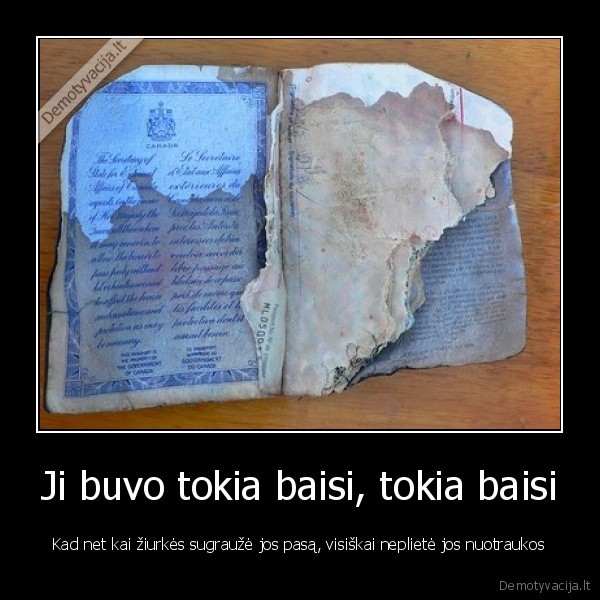 pasas,ziurkes