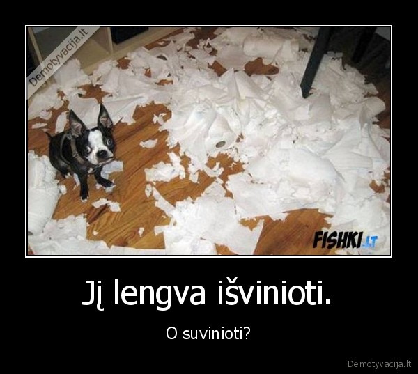 Jį lengva išvinioti.