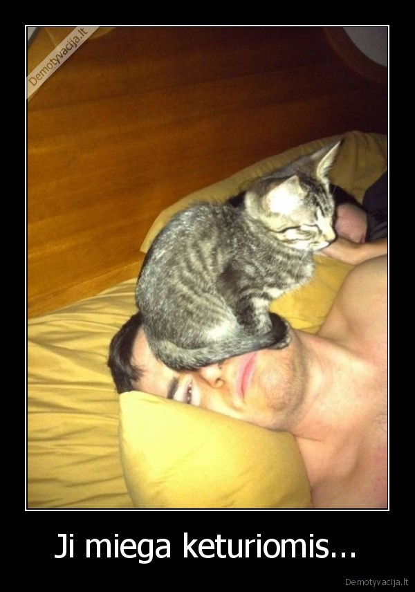 miau