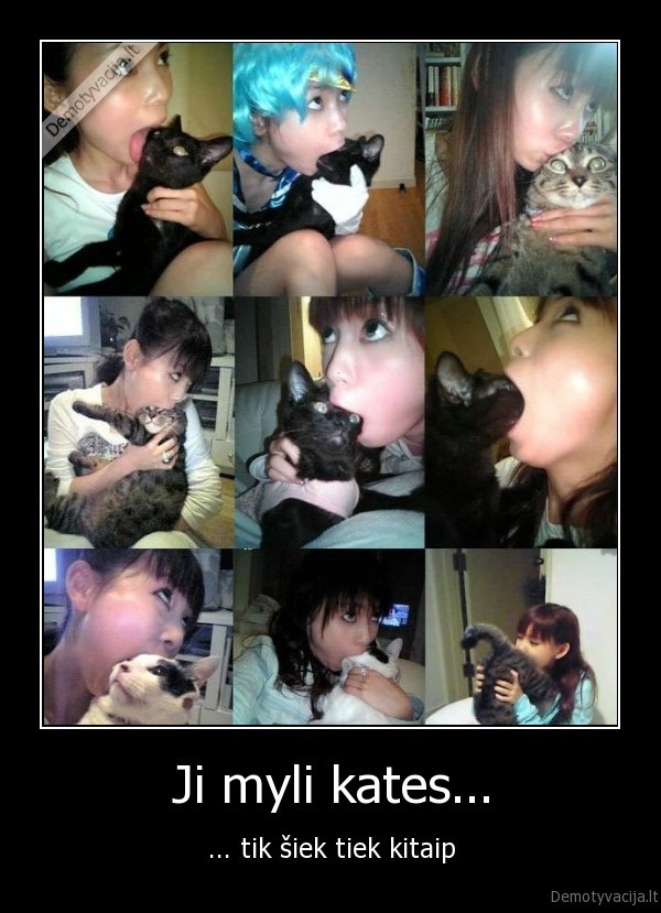 Ji myli kates...