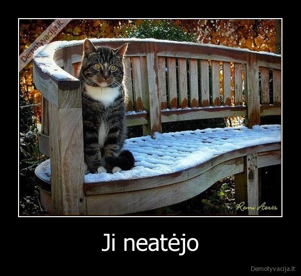 Ji neatėjo