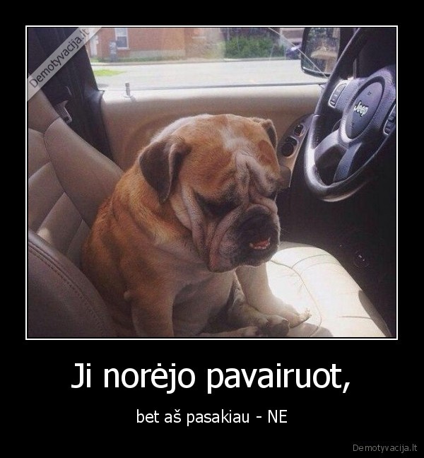 vairuoti,suo