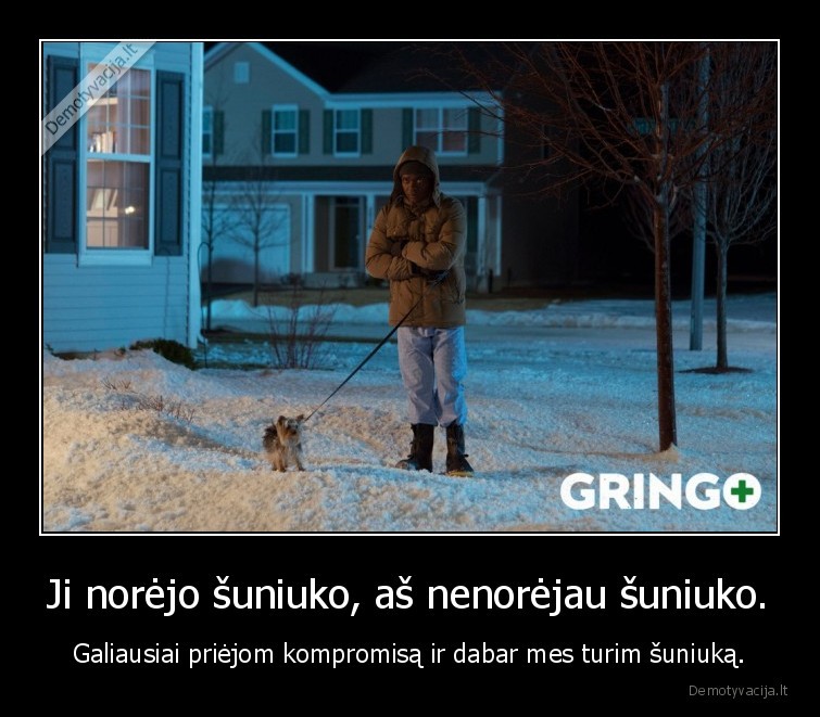gringo