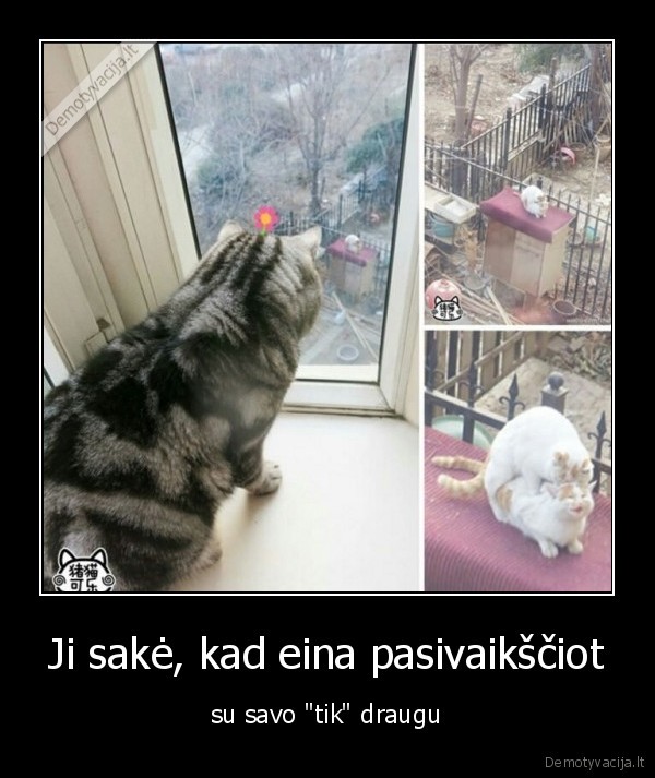 Ji sakė, kad eina pasivaikščiot