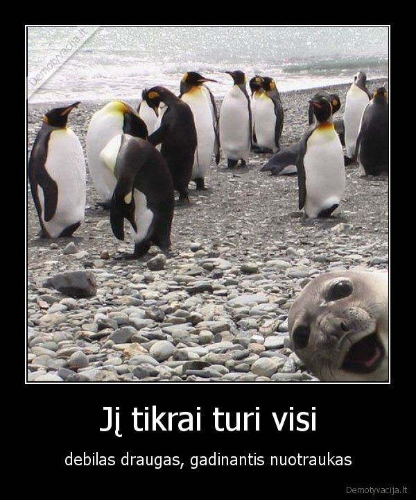 Jį tikrai turi visi