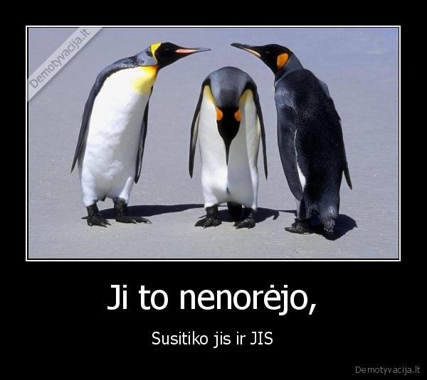 Ji to nenorėjo,