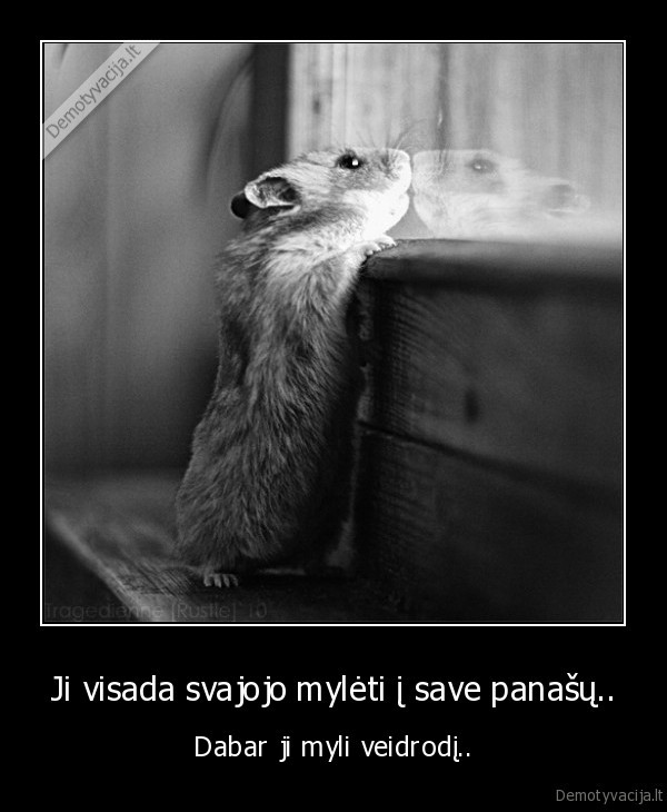 Ji visada svajojo mylėti į save panašų..