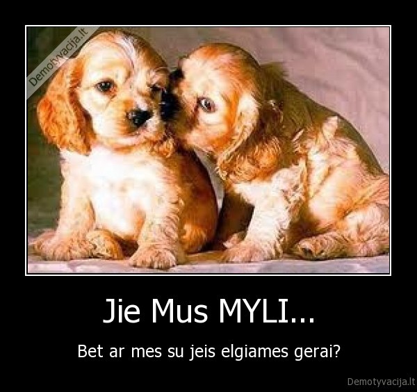 Jie Mus MYLI...