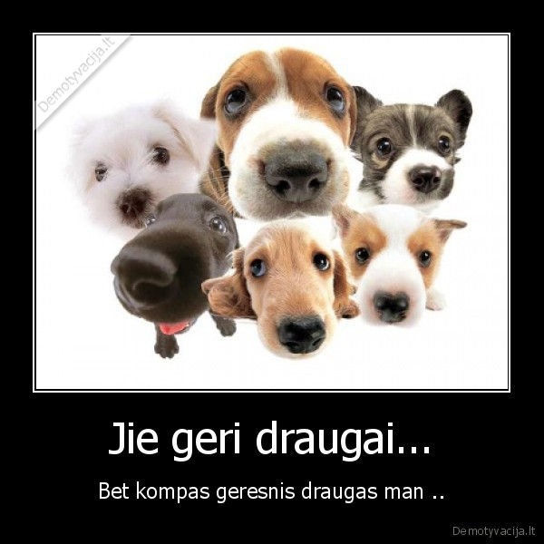 Jie geri draugai...