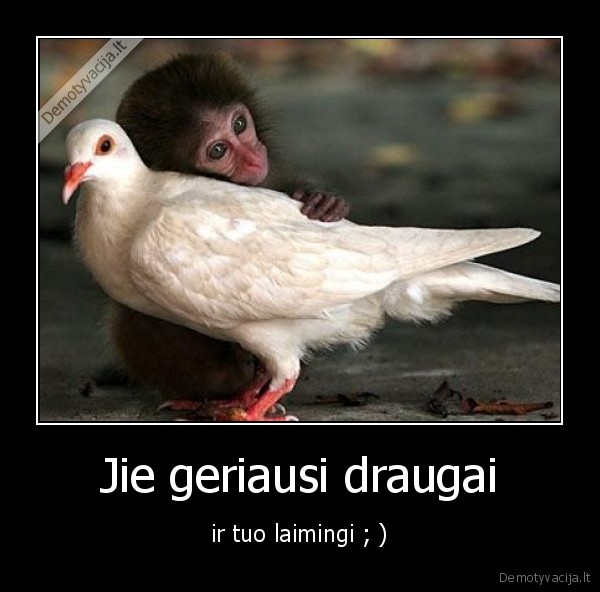 Jie geriausi draugai