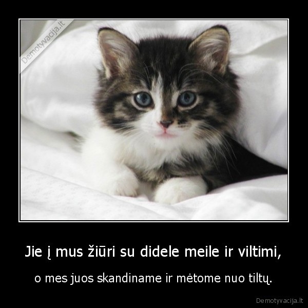 Jie į mus žiūri su didele meile ir viltimi,