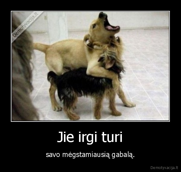 Jie irgi turi