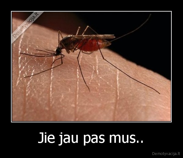 Jie jau pas mus..