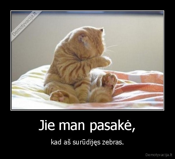 Jie man pasakė,