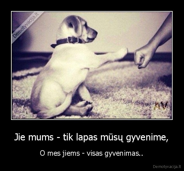 Jie mums - tik lapas mūsų gyvenime,