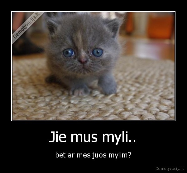 Jie mus myli..