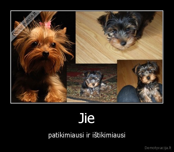 Jie