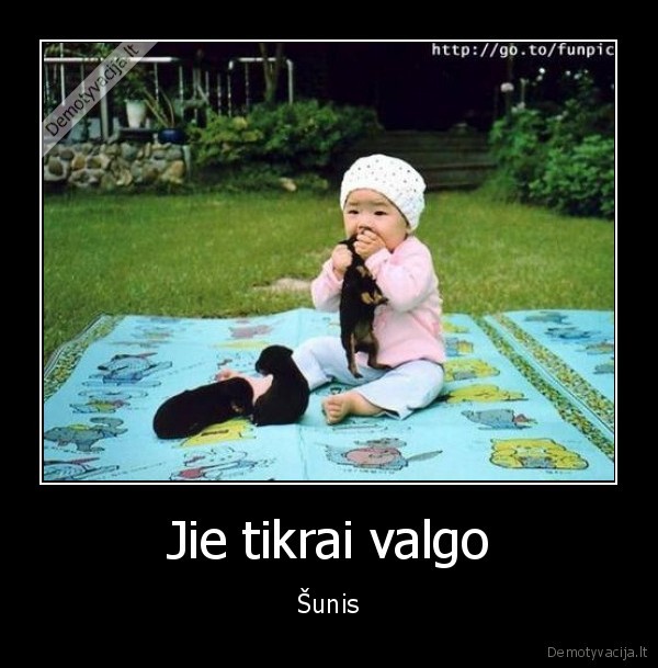 kinija