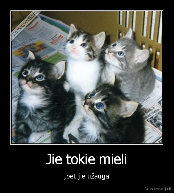 Jie tokie mieli