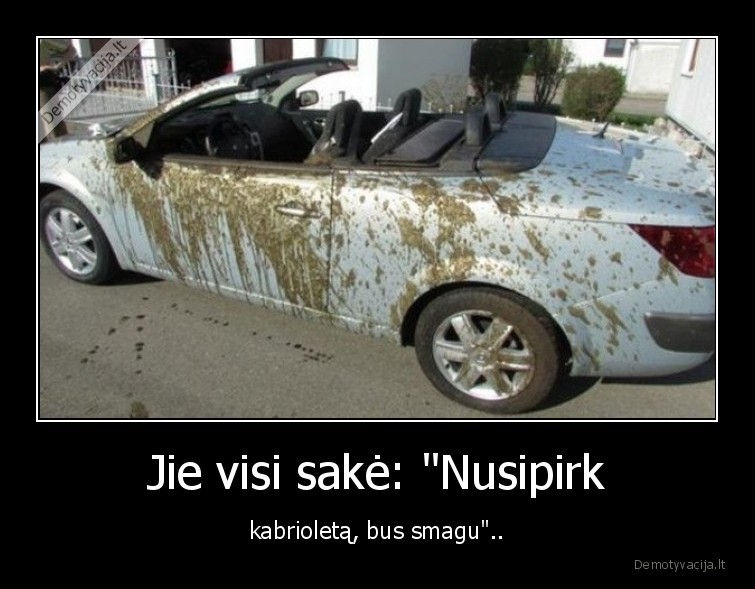 auto,kabrioletas,smagu,sake,nusipirk,purvas