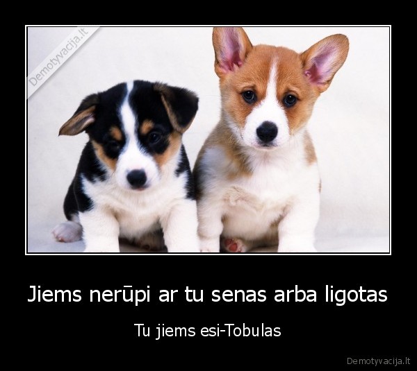sunys,tobulas,liga