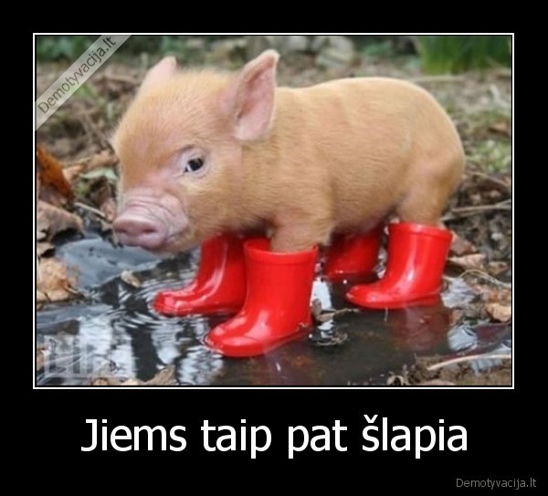 Jiems taip pat šlapia
