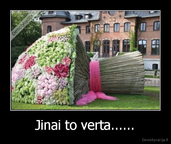 Jinai to verta......