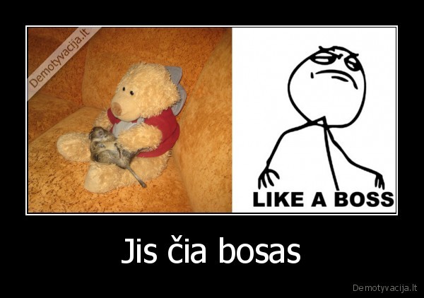 Jis čia bosas