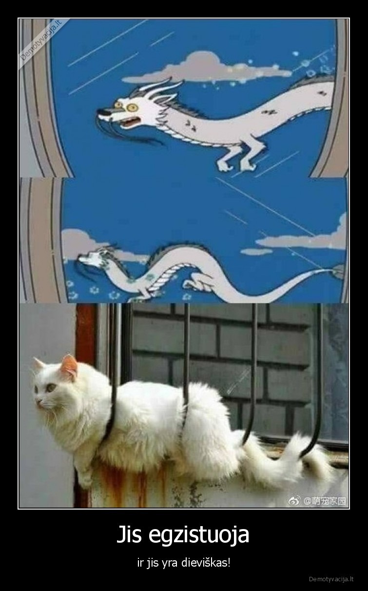 katinas,drakonas,slibinas