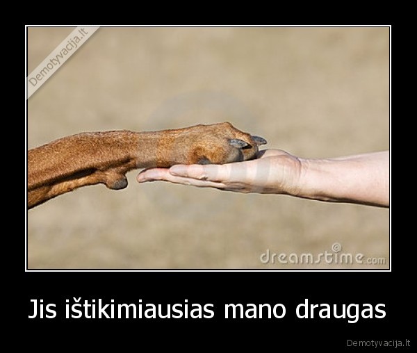 Jis ištikimiausias mano draugas