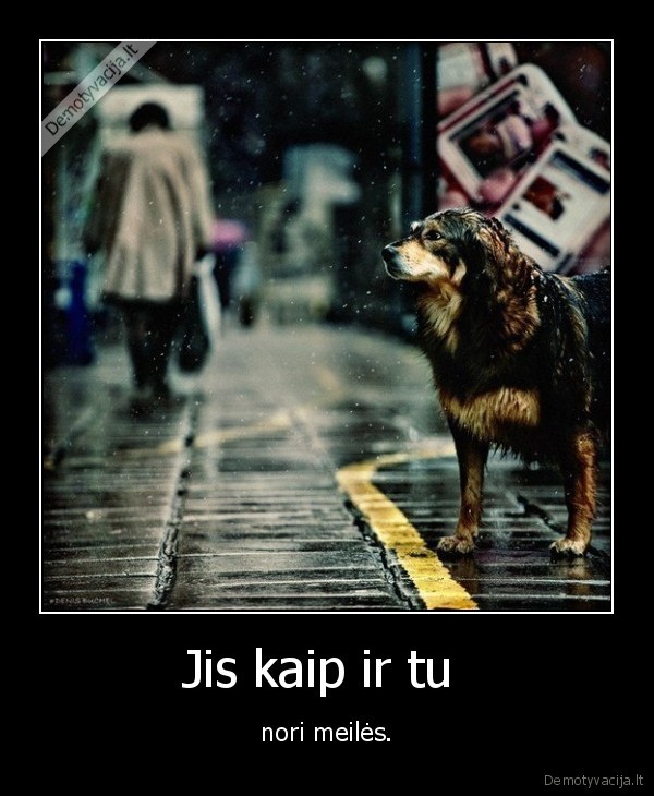 Jis kaip ir tu 