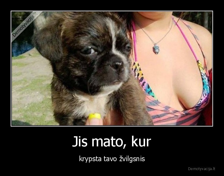 jis, mato,sunys,zvilgsnis,krypsta,merginos,iskirpte,krutine