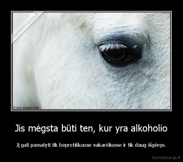 alkoholis,linksmybes,tusai,baliai,vakareliai,balti, arkliai,lomkes,arklys