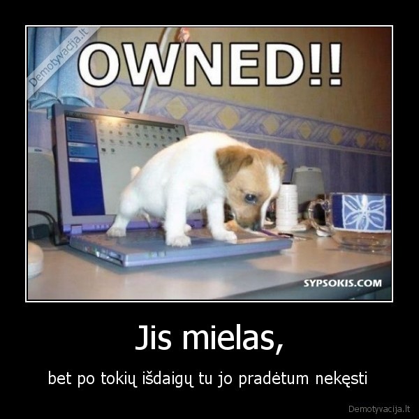 Jis mielas,