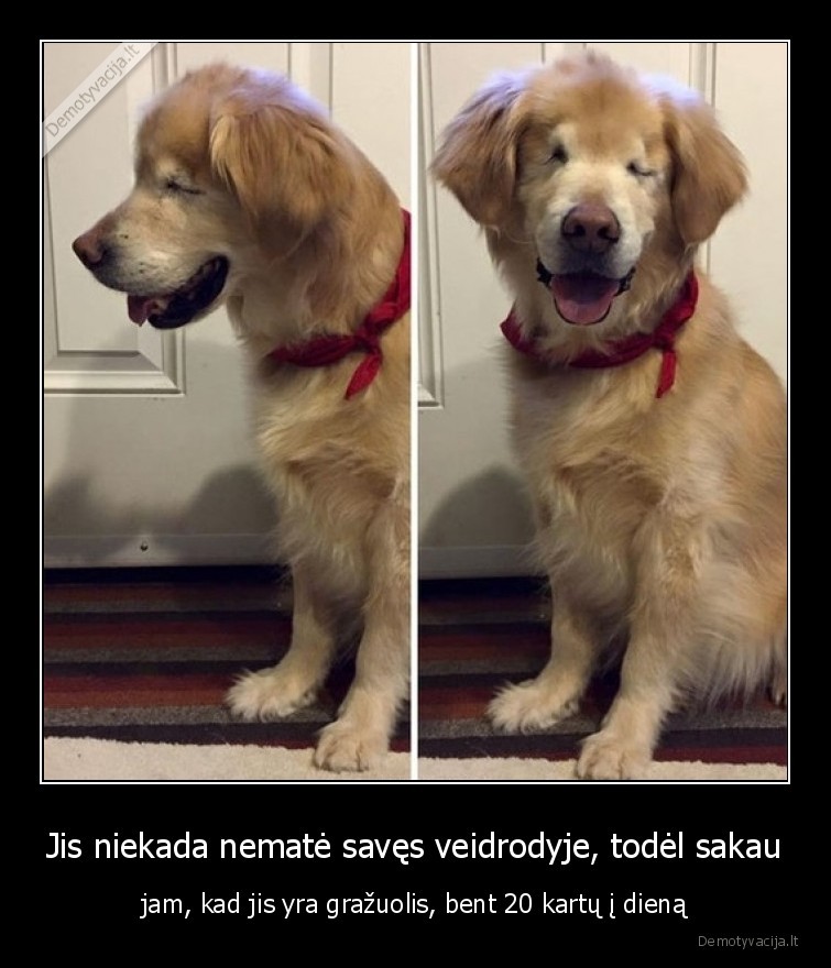 suo,aklas,grazus