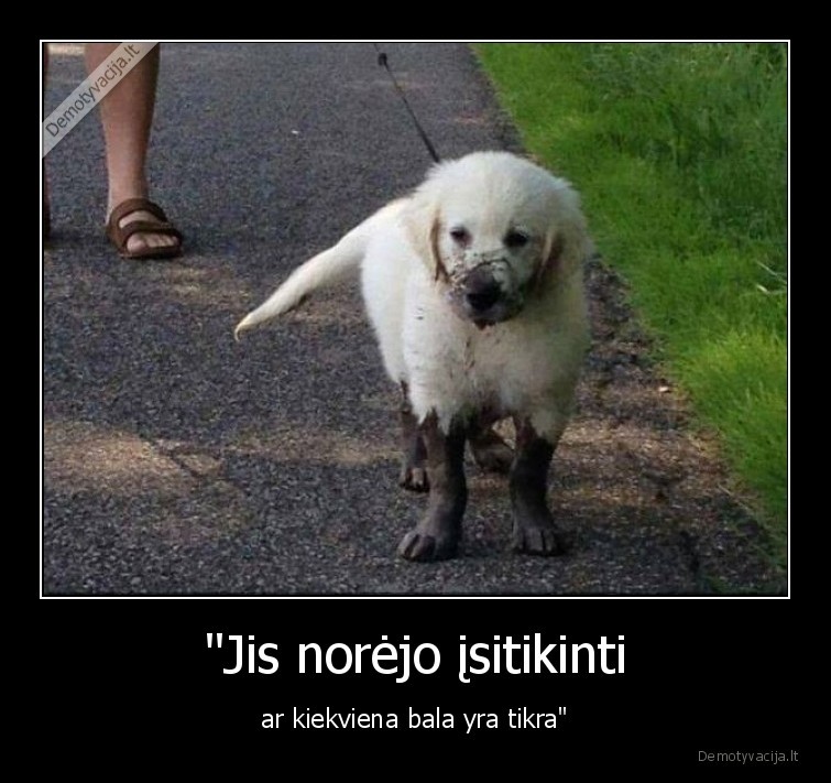 suo,bala,kojos