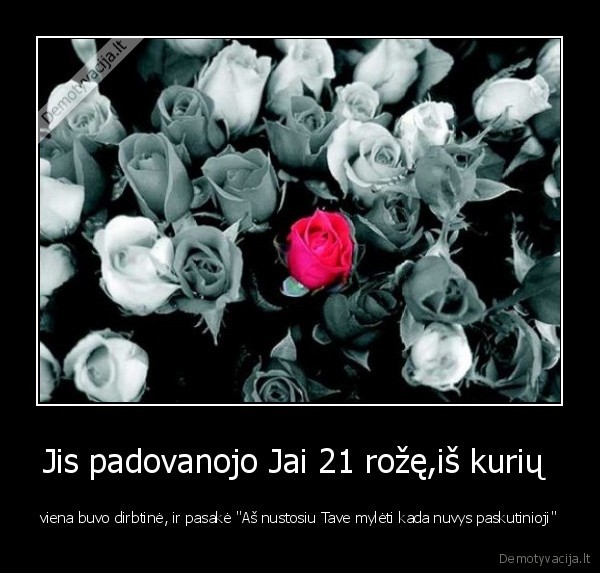 roze