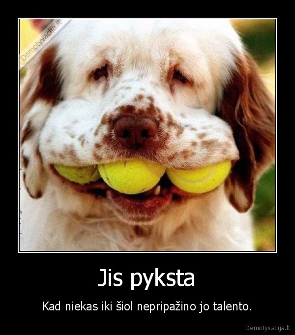 Jis pyksta