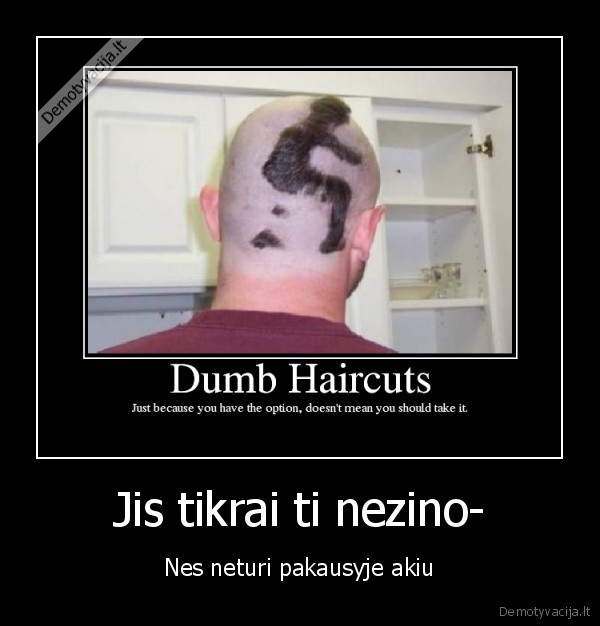 nezino,neturi